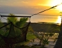 Our Fred Takes a Mini Gap Year in Fiji Featured Image